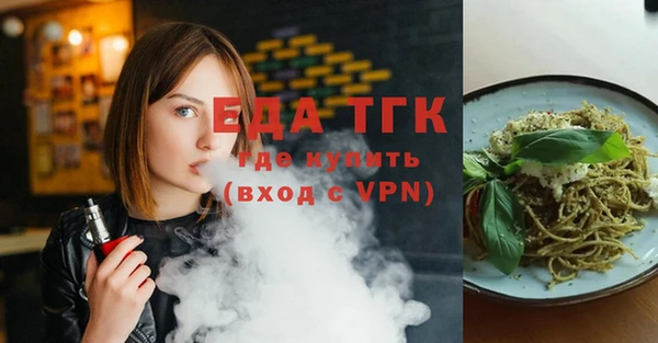индика Михайловск