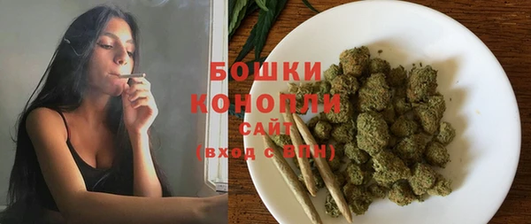 индика Михайловск