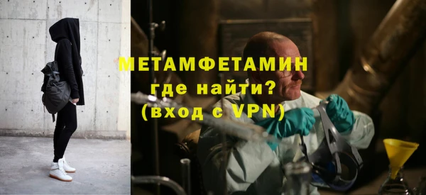 индика Михайловск