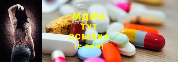 индика Михайловск