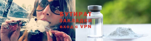 индика Михайловск
