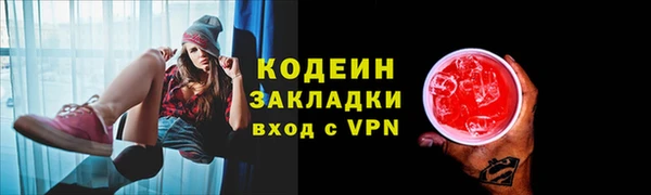 дмт Болотное