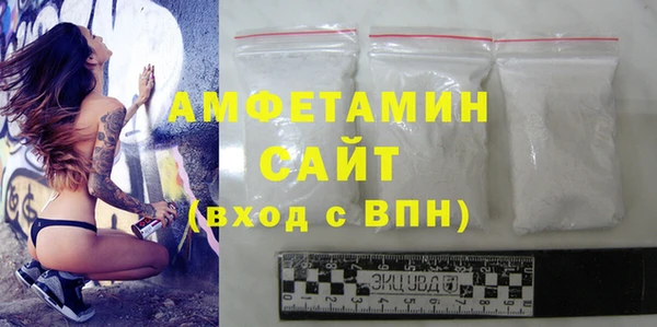 индика Михайловск