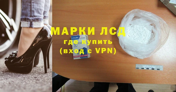 индика Михайловск